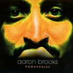 Aaron Brooks / Homunculus - CD-Review