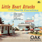 Various Artists / Little Heart Attacks From North Carolina - 10"-LP/CD-Review