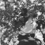 Misha Seeff / Dreamhaven - CD-Review Misha Seeff / Dreamhaven - CD-Review