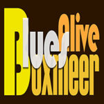 Das Blues Alive Festival Boxmeer öffnet auch wieder seine Pforten