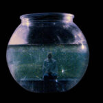 GrGr macht es sich in Aquarium gemütlich