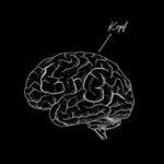 GrGr / Kopf – Digital-Review