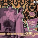 V.A. / That'll Flat… Git It, Vol. 46 – CD-Review