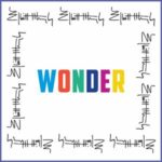 Elliott Murphy / Wonder - CD-Review