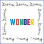 Elliott Murphy / Wonder - CD-Review Elliott Murphy / Wonder - CD-Review
