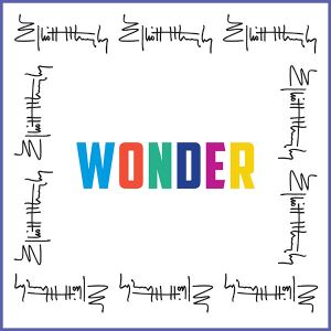 Elliott Murphy - "Wonder" - CD-Review
