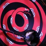 die züngelnde Schlange ziert Bassdrum