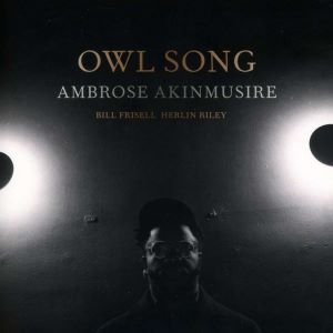 Ambrose Akinmusire / Owl Song