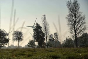 … in der friedlichen Wildnis Nordfrieslands