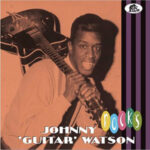 Johnny 'Guitar' Watson / Rocks – CD-Review