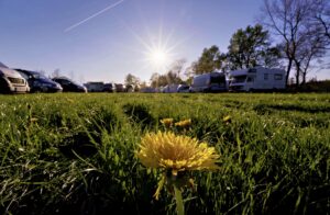 Es blüht auf der Kuhweide und ein Bombenwetter zum Campen … außer nachts
