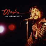 Waylon Jennings und die entdeckte Goldader - 3 neue Alben geplant - News