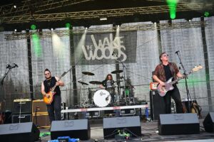 The Wake Woods
